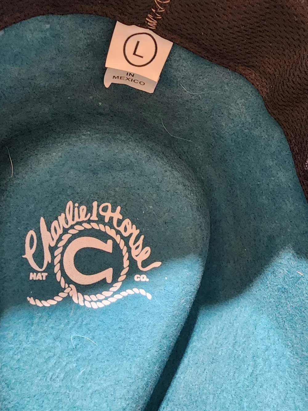 Teal Felt Wide-Brim Hat with Black Band
